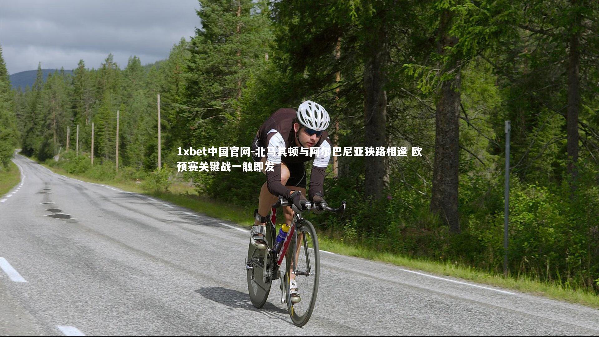 北马其顿与阿尔巴尼亚狭路相逢 欧预赛关键战一触即发